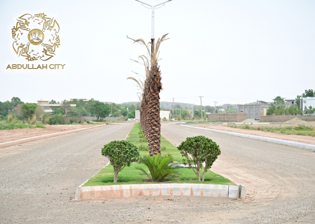 Abdullah City 